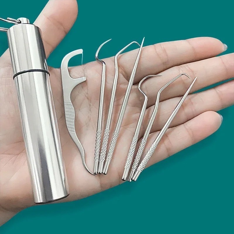 Stainless Steel Reusable Toothpick Set Portable Teeth Cleaner Oral Care Tool
