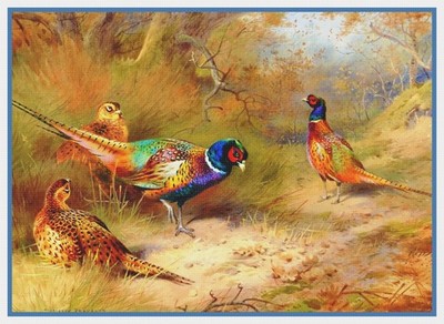 Naturalist Thorburn Birds Ring Necked Pheasants Counted Cross Stitch Pattern