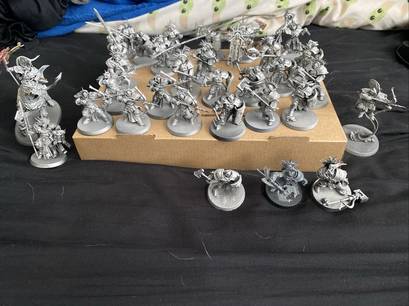 Stormcast Eternals Liberators Age of Sigmar Miniatures Painted Based