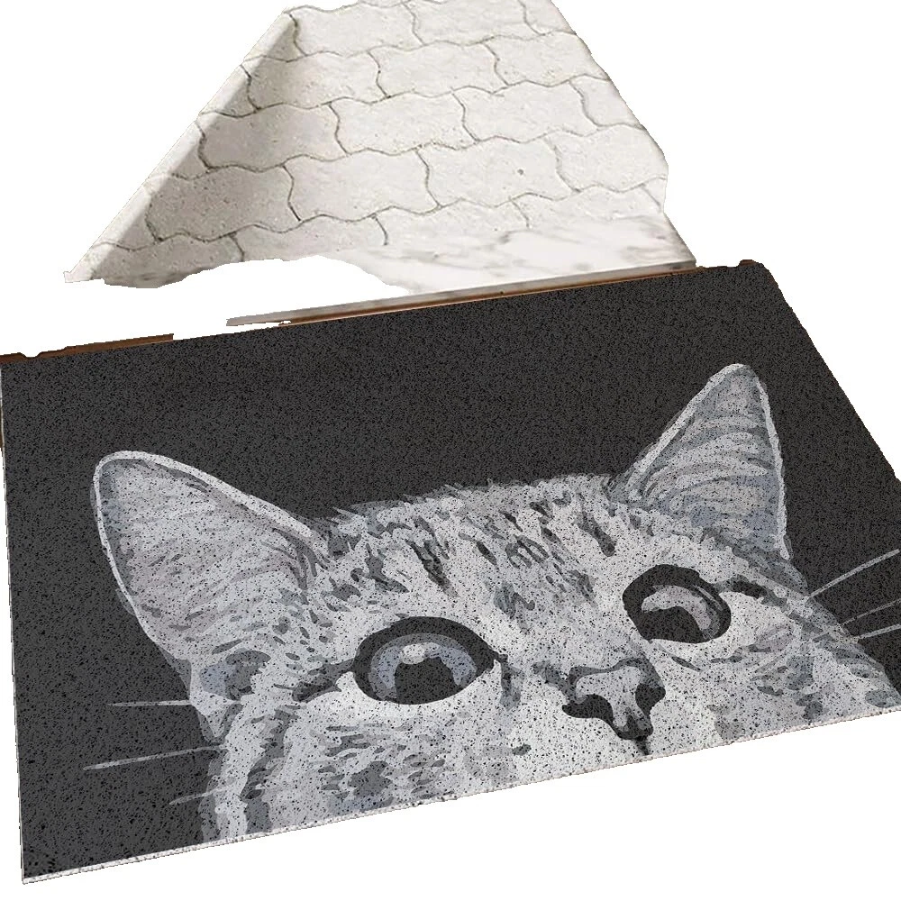 Cats Door & Floor Mats