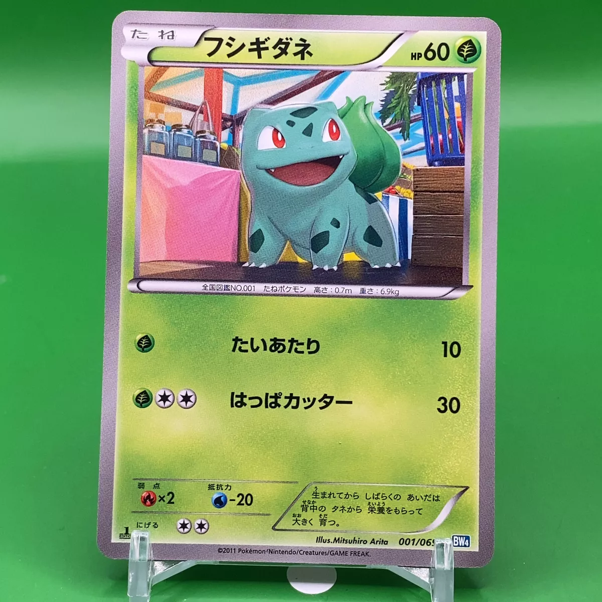 Shiny Bulbasaur  Pokemon, Bulbasaur, Anime