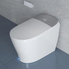 Bidet Toilet Auto Open/Close Lid W/ Powerful Flush Built-in tank water pump