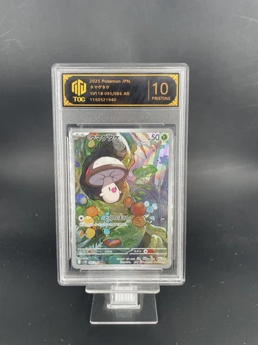 2025 Pokemon JPN Foongus AR 095/086 SV11B TOC10(SAME AS PSA10) 1