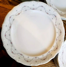 2 Seltmann Weiden Bavaria Germany Rose Swag Theresia 10-3/8" Dinner Plates TWO
