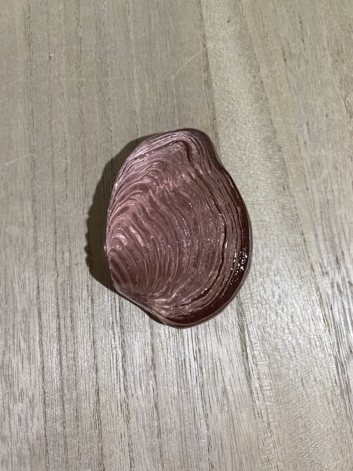 ILLUMINATIONS - Handmade Pale Pink Oyster Seashell