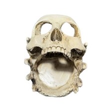 Portable Skull Decoration Item Functions As Jewelry Holder And Display Stand