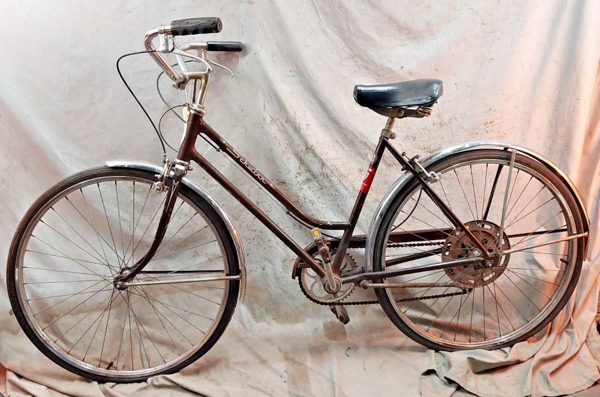 1972 Schwinn Collegiate Cruiser Bike 19.5