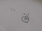 Bild 9 von 11