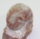 Bild 3 von 4