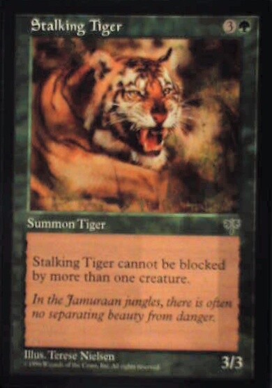 Stalking Tiger - Mirage: #243, Magic: The Gathering Nm R107