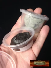 M01185 MOREZMORE 2 oz BROWN Magic Sculpt Sculp Epoxy Clay 2 Part Model Putty