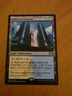 MTG Hallowed Fountain - Ravnica Allegiance Rare #251 Shock Land - NM Near Mint