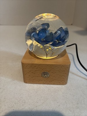 Never Withered Forever Blue Hydrangea Crystal Ball LED With Cord Lights Up