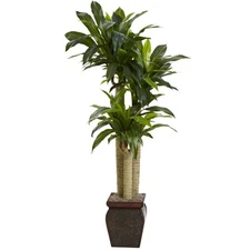 Nearly Natural 4.5ft. Cornstalk Dracaena Silk Plant with Vase (Real Touch)
