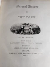 Natural History Of New York By James E. De Kay 1842 Illustrated Large Volume HC