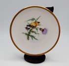 Vintage Audubon Goldfinch Bird Thistle Plate 1960s Hutschenreuther Germany Pasco — photo 2