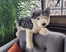 Douglas Peluche Husky Cane Nadia 2012