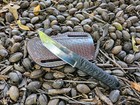 JAPAN SAMURAI TANTO Fixed Blade Tactical Knife Hunting Survival Straight Knives