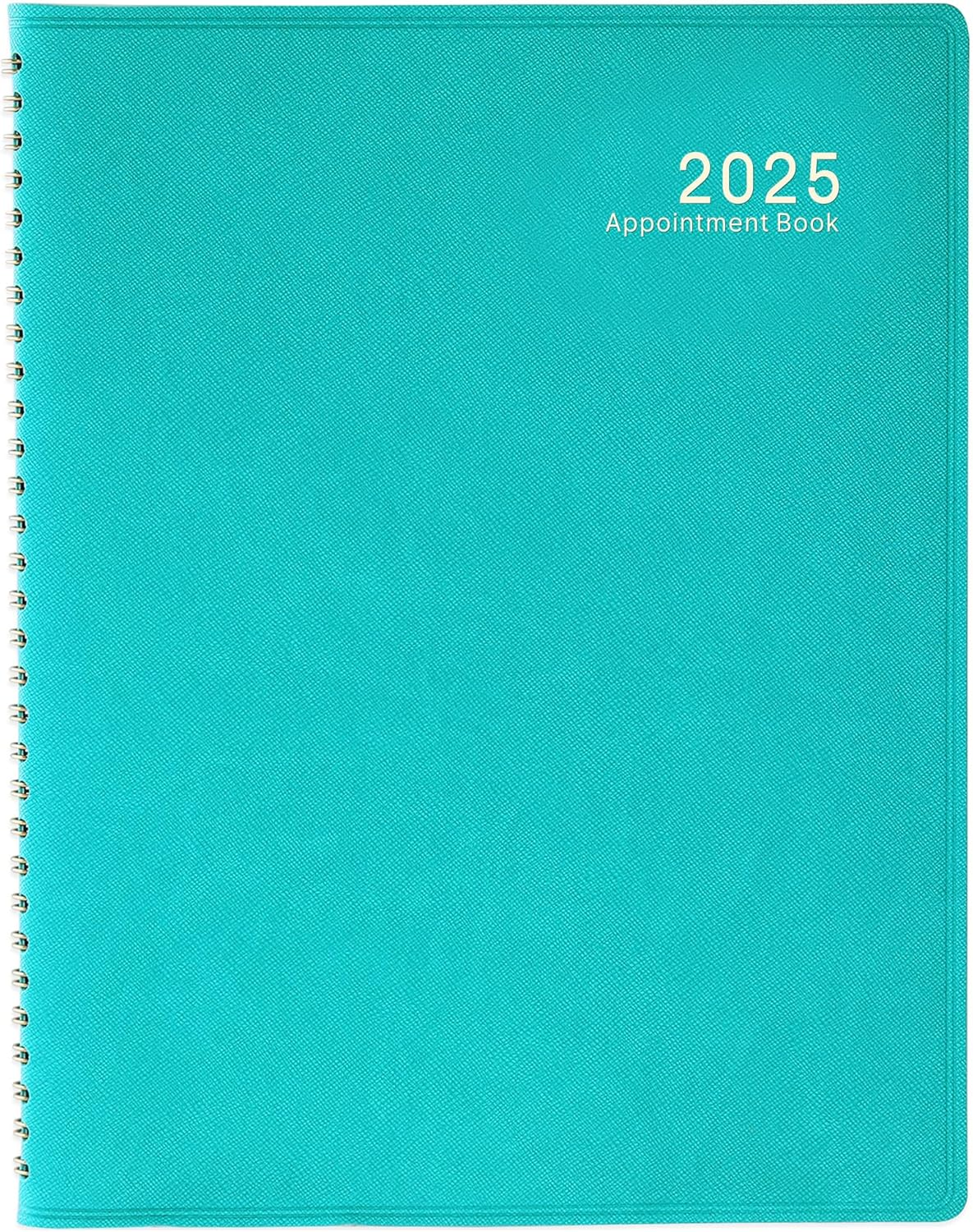 2025 Weekly Appointment Book/Planner - 53 Weeks Daily Planner, January - Decembe