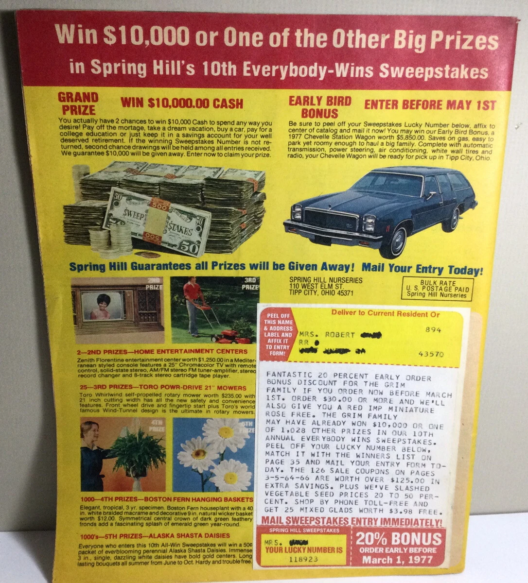 Springhill Flowers Catalog Best Flower Site