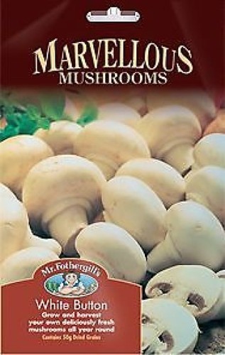 Mushroom Seeds Spores. DIY Grow Your Own. White Button / Shiitake Varieties - Picture 2 of 2