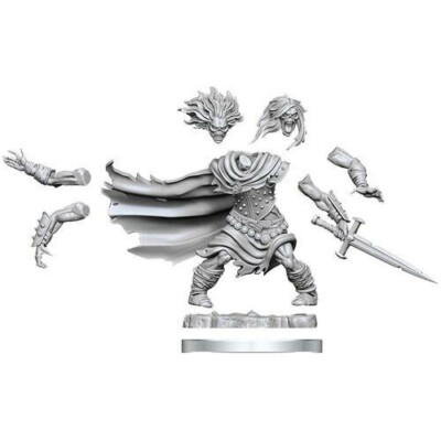 Dungeons & Dragons Frameworks: W01 Wight Customizable Miniature
