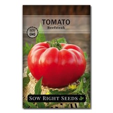 - Beefsteak Tomato Seeds for Planting - Non-GMO Heirloom Packet with 1