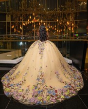 Gold Floral Quinceanera Dresses Ball Gown Applique Beading Corset Sweet 16