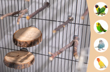 8 Pieces Natural Wood Bird Perch Stand   Multi-Branch Swing Toy for Macaws