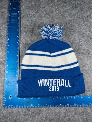 Winterall 2019 BSOA Beanie Toque Adult One Size Blue Stripe Knit Acrylic Pom