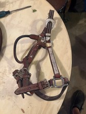 Leather Small Horse Show Halter with Silver. Small size