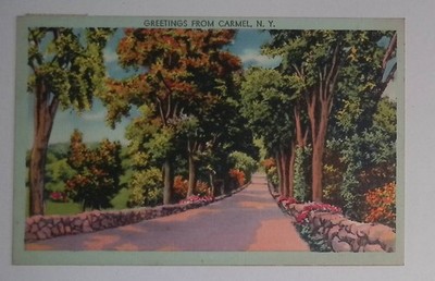 Greetings from Carmel New York postcard tree lined road