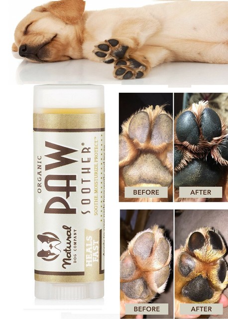 all natural pet company