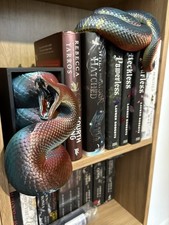 4 way colour Emerging basilisk Snake Book Nook/ Bookend. Insp By Harry Potter