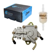 Qfs Carburant Pompe + Mahle Filtre pour 2004-2009 Yamaha Rhino 450 660 #