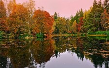 Landscape lake nature fall water Custom Gaming Mat Desk