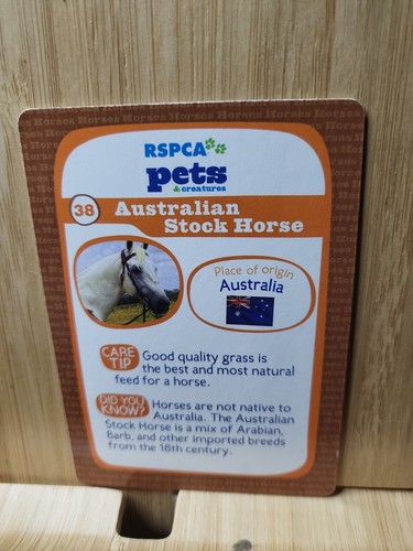 RSPCA Pets & Creatures FURRY🏆#38 AUSTRALIAN STOCK HORSE Trading Card🏆FREE POST - Picture 2 of 2