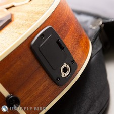 KALA U-BASS JYMN-FS Ukulele bass