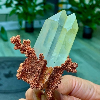 169G Rare!!iridescent Native Copper+ crystal mineral specimen