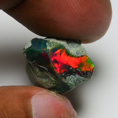 Glatter schwarzer Opal grob 14,50 kt natürlicher äthiopischer Welo Opal roh, ...