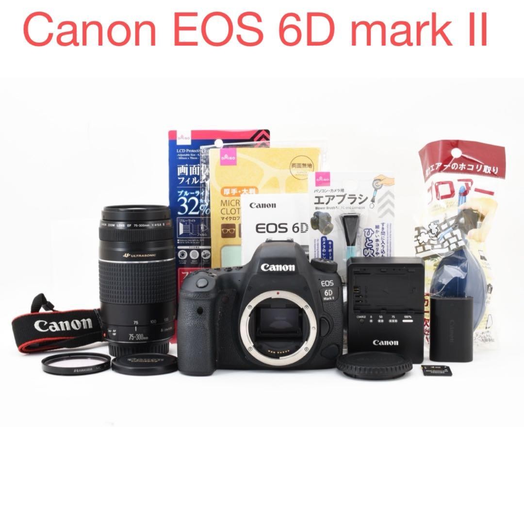 Canon EOS 6D Mark II DSLR Camera with 75-300mm Lens Set Excellent