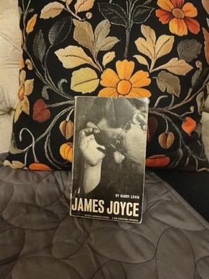James Joyce Biography By Harry Levin Irish Literature Ireland Biography 1960s Ed
