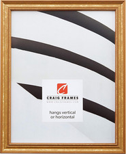 Craig Frames 314GD, Ornate Gold Picture Frame, 8.5 X 11 Inch