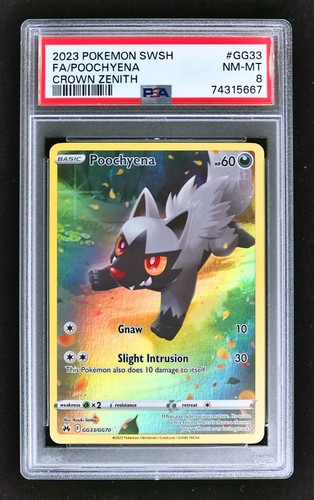 Poochyena graded PSA 8 for sale on eBay