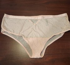 NWOT TORRID Cheeky Panty Hipster Underwear Sz 2X 18/20 Pink Lace Mesh Leopard