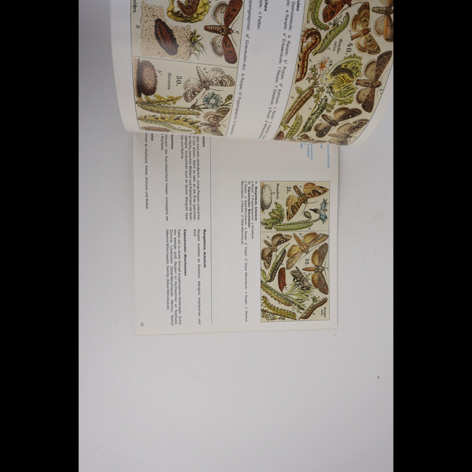 Picture 3