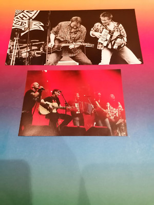 fanbilder von Rowwen heze and the Heiderroosjes on pinkpop