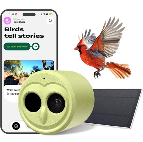 Hibird 4K HD Smart Vogelfutterhaus Kamera Solarbetrieben, 2.4G/5G Dual
