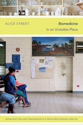 Biomedicine in an Unstable Place : Infrastructure and Personhood