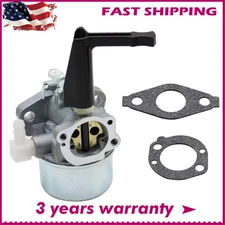 New Carburetor For Briggs & Stratton 696065 697422 Carb With Mounting Gasket